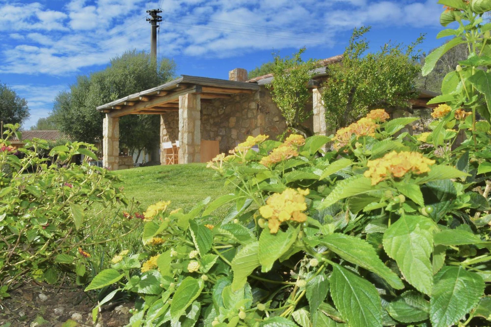 Petra D'Arana Villa Palau Buitenkant foto